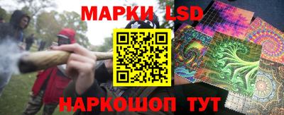Альфа ПВП Малгобек