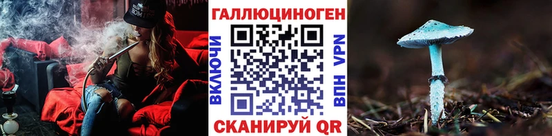 нарко площадка телеграм  Фрязино  Псилоцибиновые грибы Psilocybe 