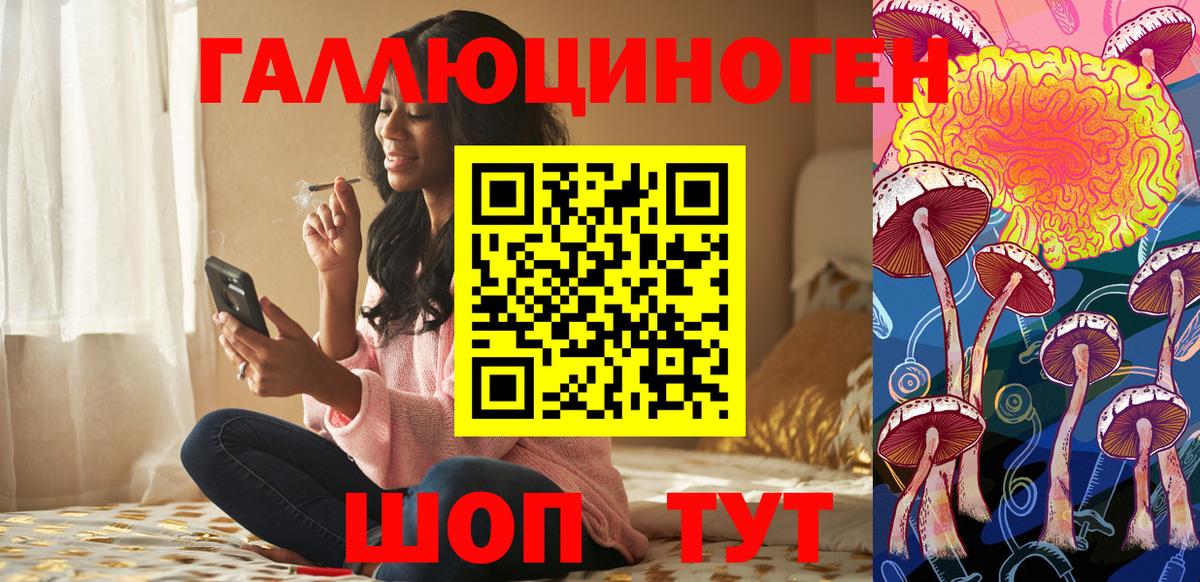 Фрязино  Псилоцибиновые грибы GOLDEN TEACHER  Вход с VPN 